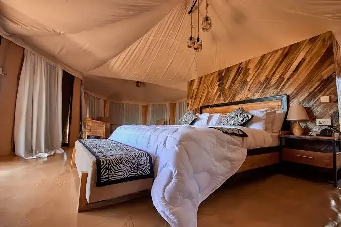 Tanzania safari costs