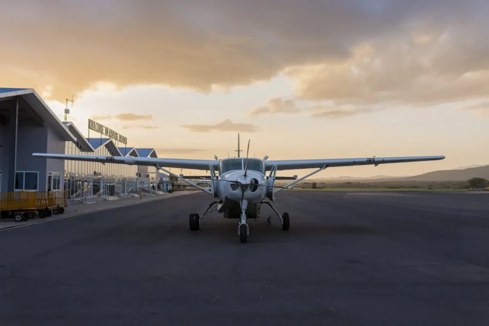 Tanzania Fly-In Safari from Zanzibar