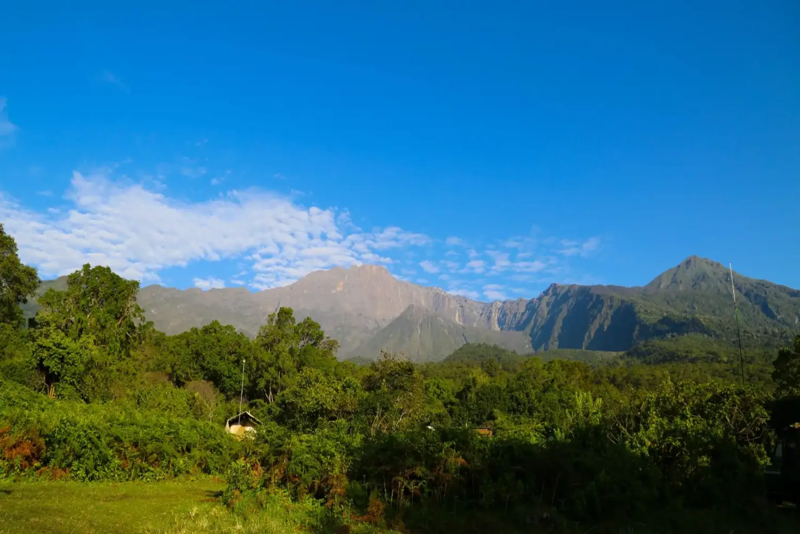 Golf and Safari