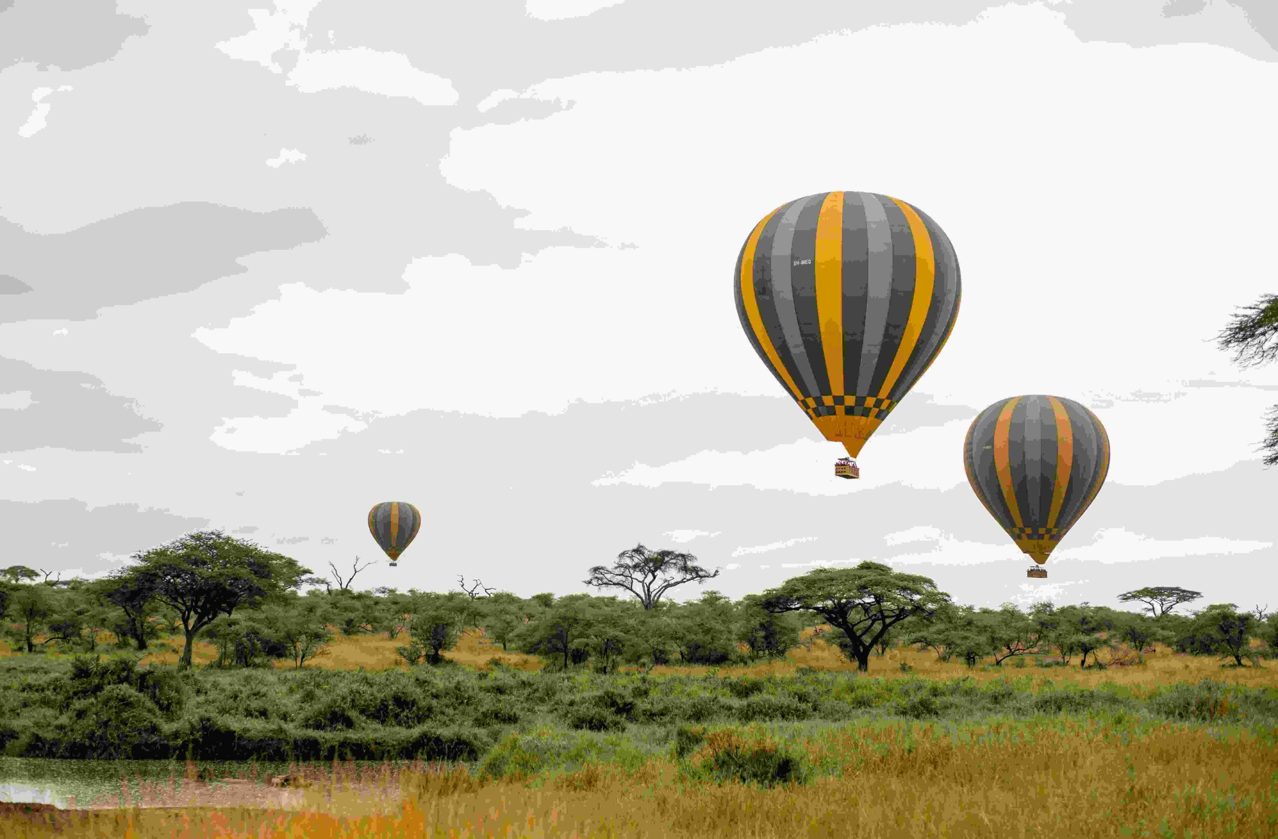Tanzania fly in safaris
