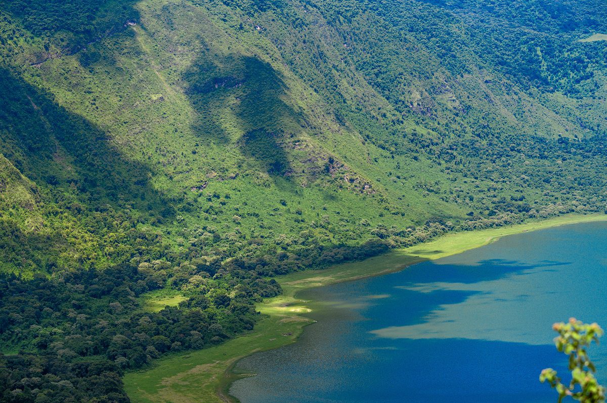 2-Day Safari, Ngorongoro & Lake National Park