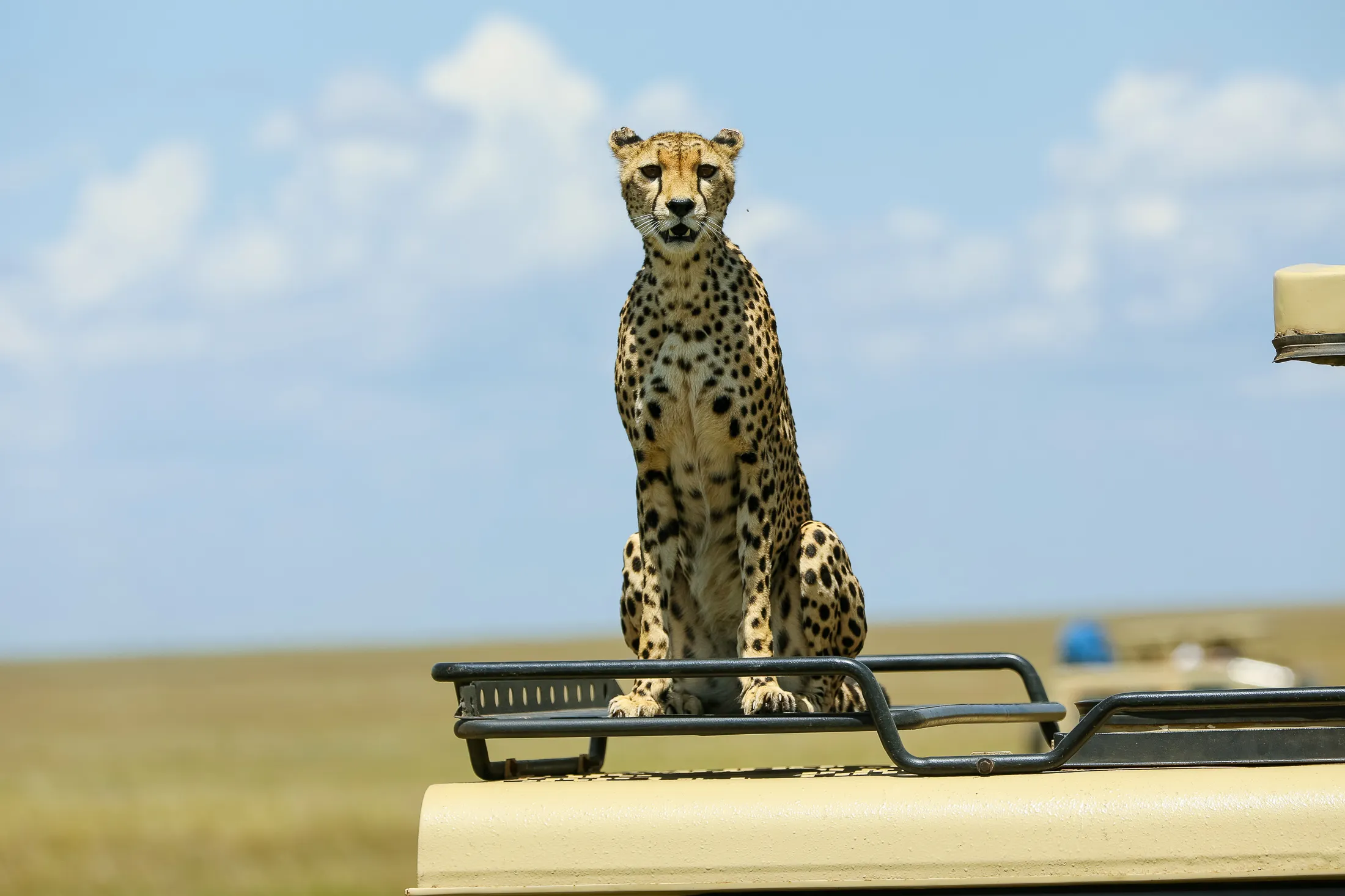 4-Day Tarangire, Serengeti & Ngorongoro Safari