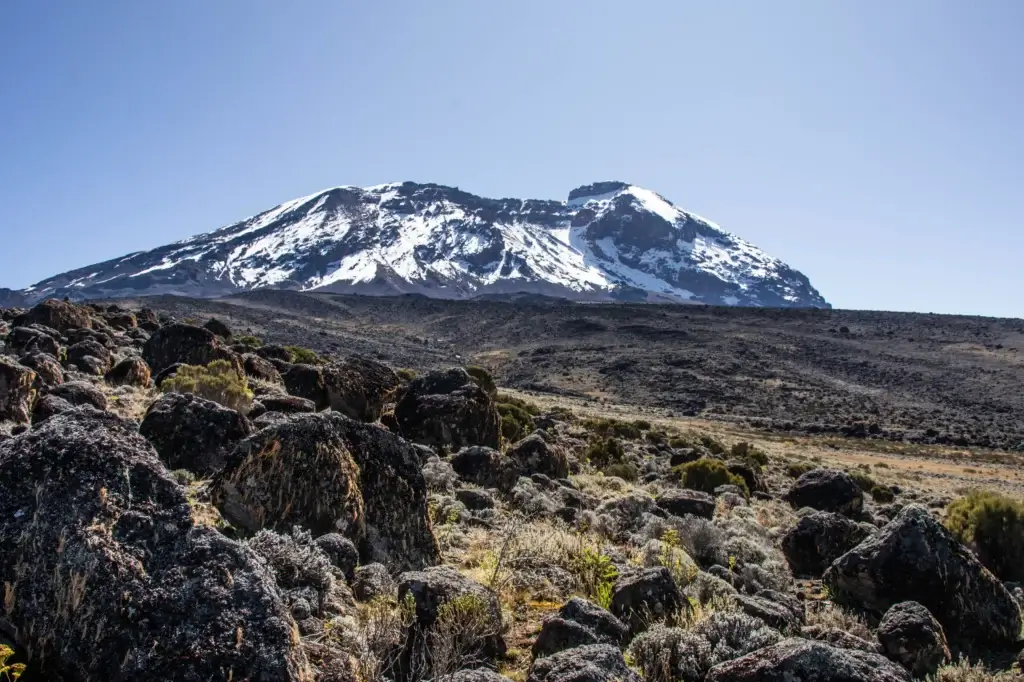 Climbers trekking toward Kibo Hut on 5--Day Kilimanjaro Climb Marangu Route