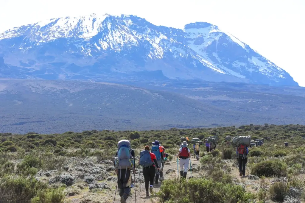 6-Day Kilimanjaro Climb - Umbwe Route 1 Trekkers ascending through dense rainforest near Umbwe Gate on Day 4 of the climb