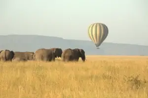 Hot air balloon safari Serengeti