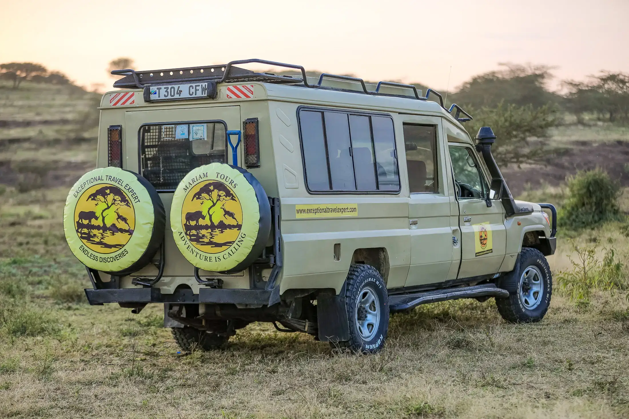 Tanzania safari