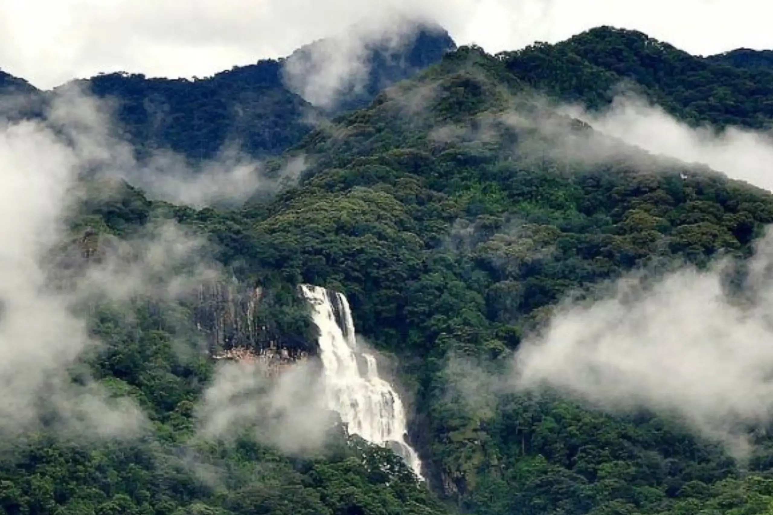 tanzania-safari-destinations-udzungwa-mountains-national-park