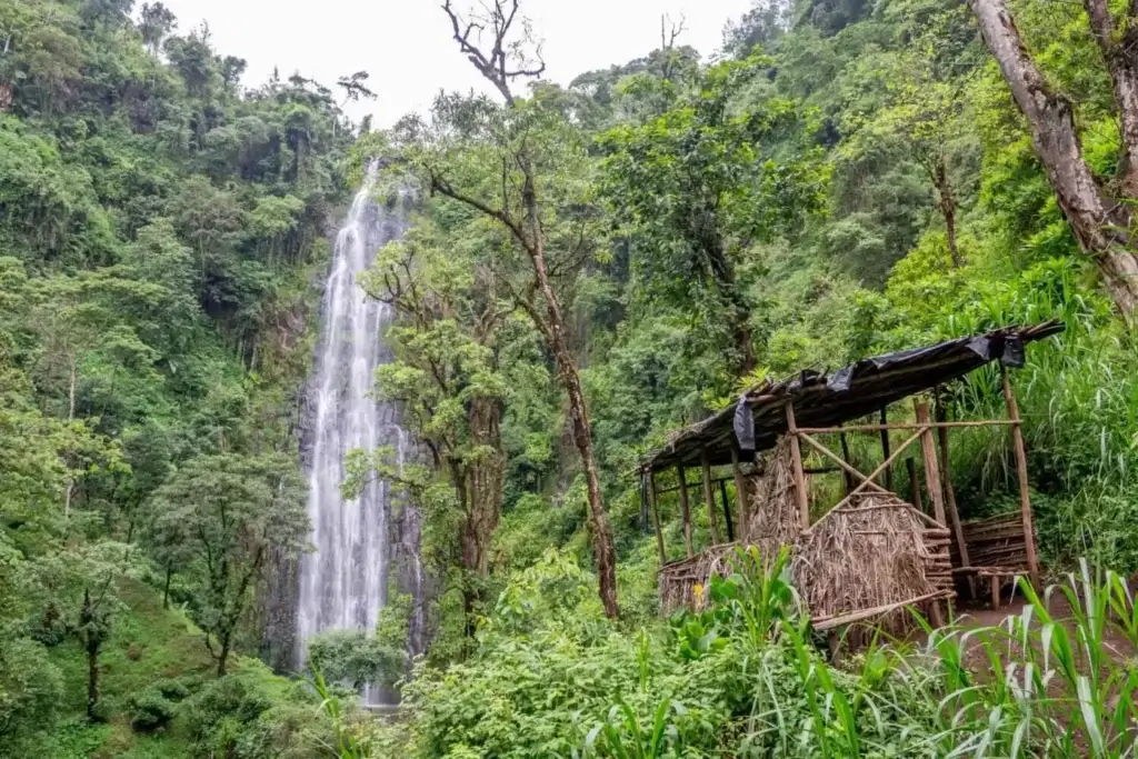 Materuni waterfall and coffee tour day trip from Arusha