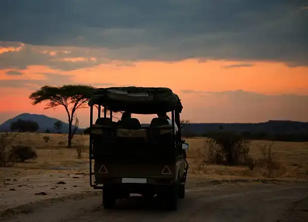 6-Day Mikumi, Ruaha and Udzungwa Mountains by Train