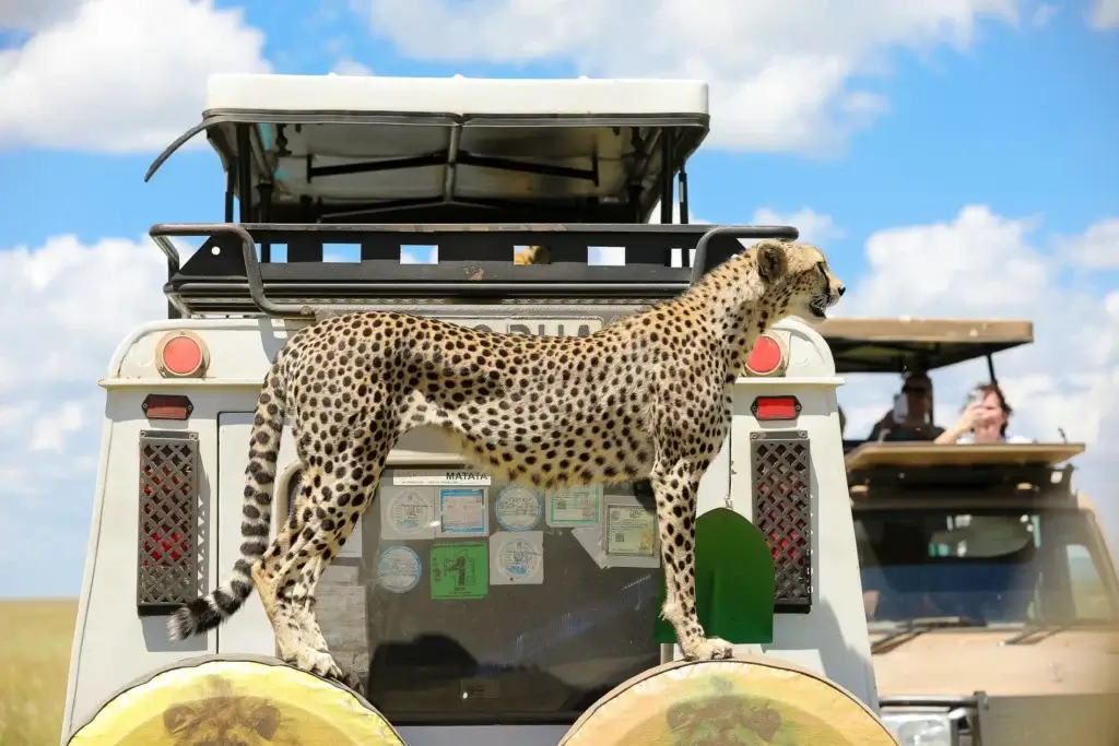 best time to visit Tanzania