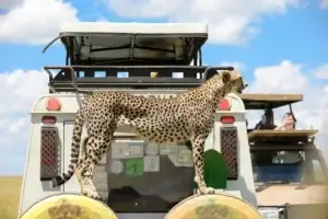 27 Things to Do in Zanzibar (2026 Must‑See List) 22 best time to visit Tanzania