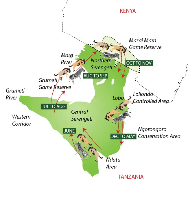 Great Migration map showing monthly movement patterns across Serengeti Tanzania and Masai Mara Kenya