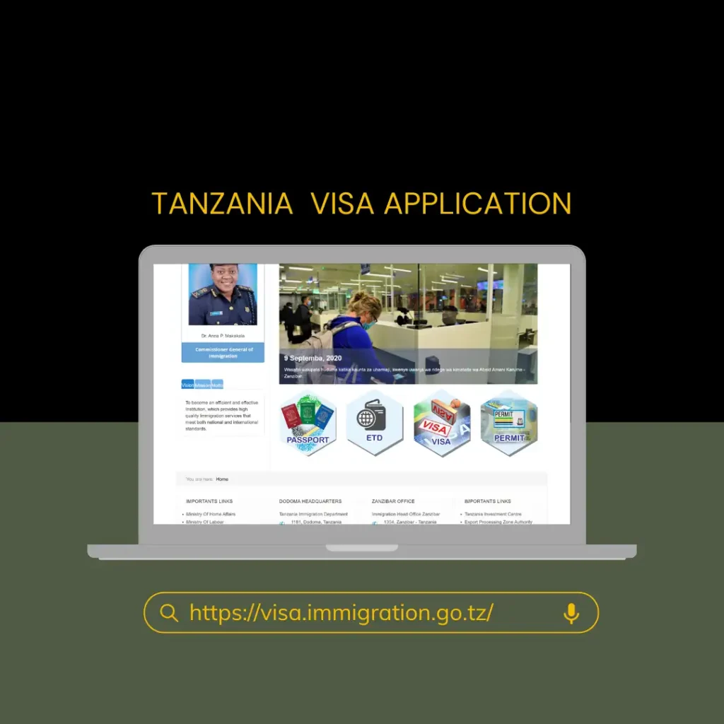 Tanzania eVisa online application homepage showing multiple entry visa option for US citizens