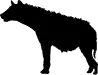 hyena