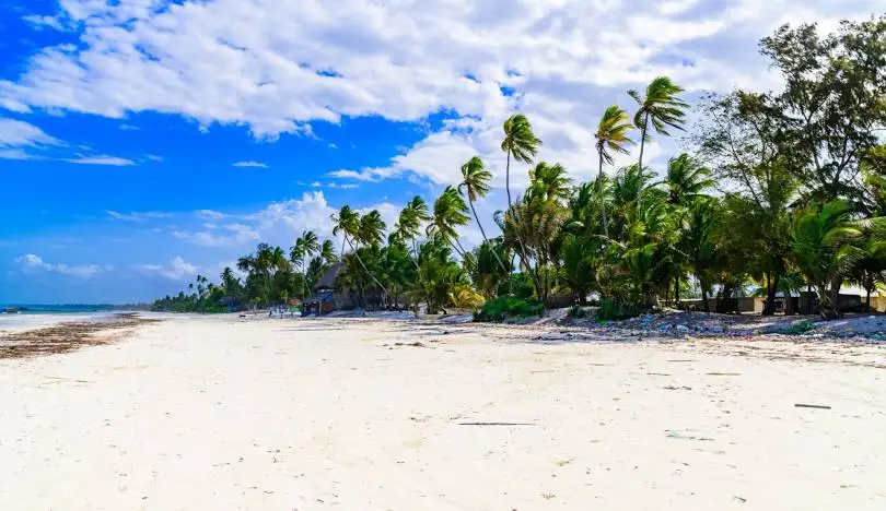 27 Things to Do in Zanzibar (2026 Must‑See List) 15 White sandy shores and calm turquoise waters at Matemwe Beach in Zanzibar, Tanzania, perfect for relaxing and swimming