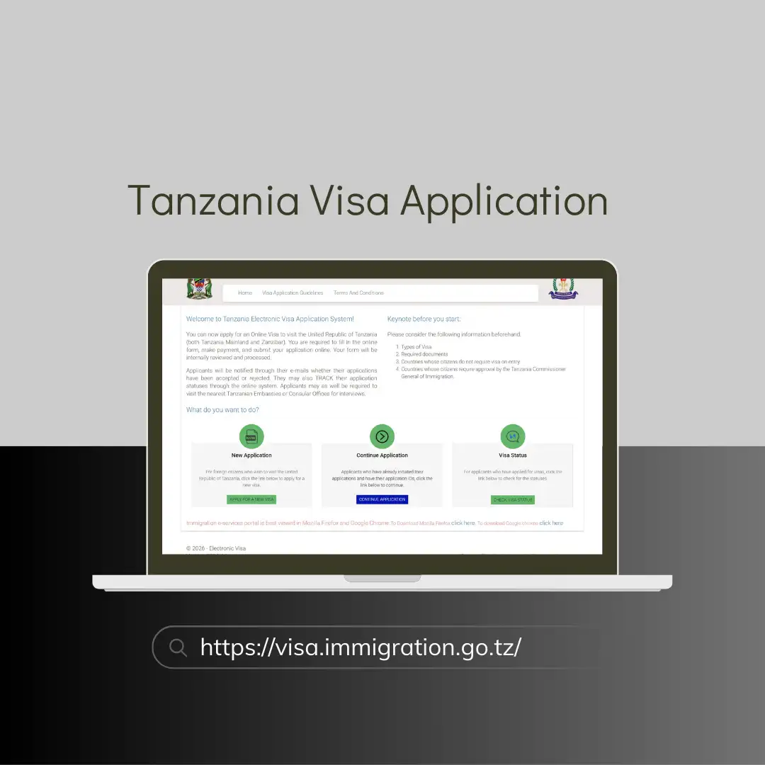 Tanzania eVisa online application homepage showing multiple entry visa option for US citizens