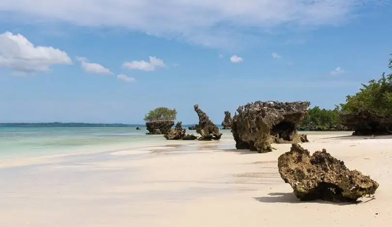 Colorful coral reef in Pemba Island, Tanzania, a top destination for snorkeling and diving