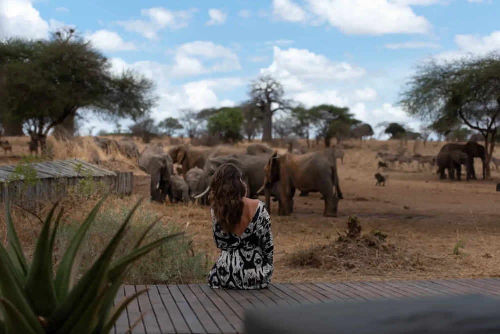 Wild elephants walking near a luxury safari lodge in Serengeti National Park, Tanzania