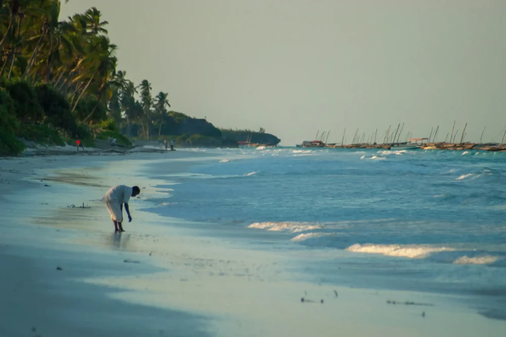 evening sunset matemwe beach zanzibar tanzania