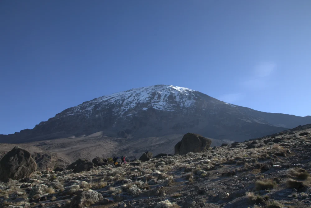 Trekkers climbing the Rongai Route on Kilimanjaro via the quiet northern approach, Tanzania