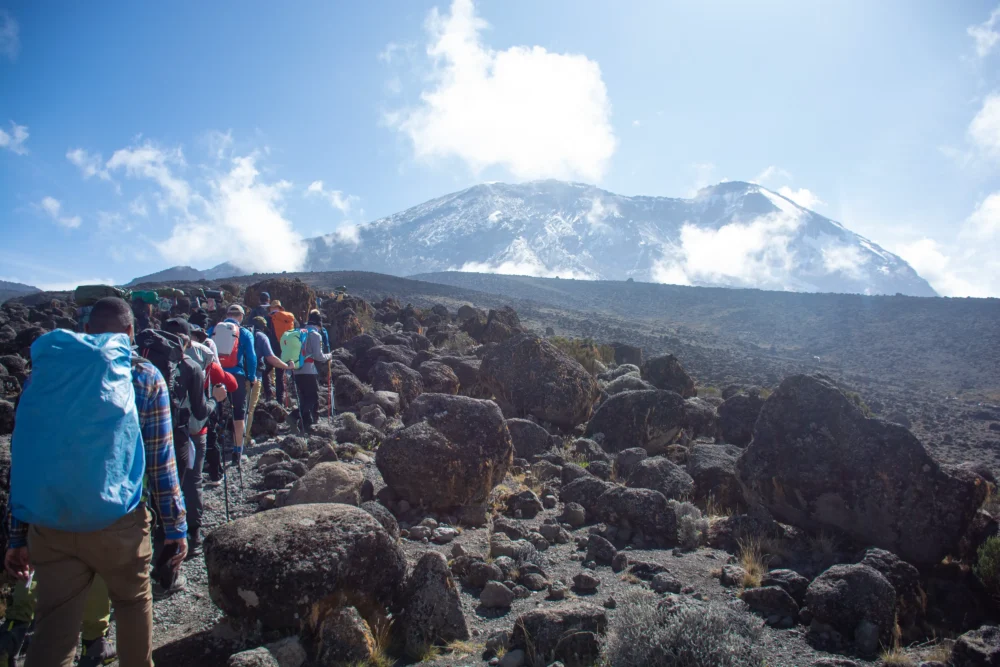 Climbers hiking the Rongai Route on Kilimanjaro's quiet northern slopes, Tanzania