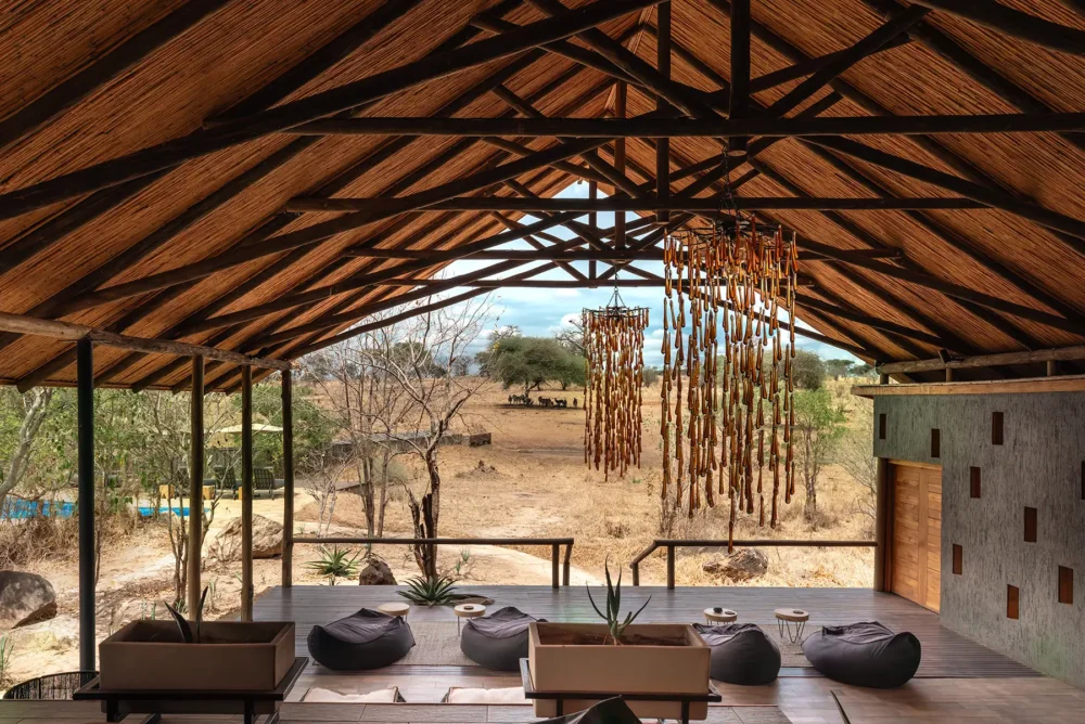 serengeti sitting area view savannah