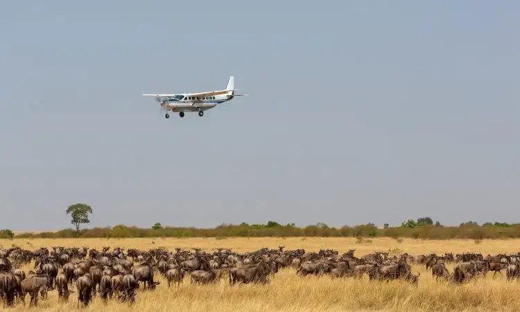 6-Day Tanzania Fly-In Safari | Fly In, Drive Out Luxury Safari 195 Tanzania fly in safari