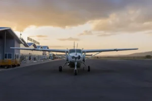 Tanzania Fly-In Safari from Zanzibar