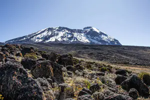 Best Time to See the Great Migration in Tanzania & Kenya (Complete 2025/2026 Guide) 7 Women only Kilimanjaro climb group climbing Kilimanjaro via the Lemosho Route, Tanzania