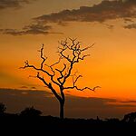 Tanzania mandatory travel insurance