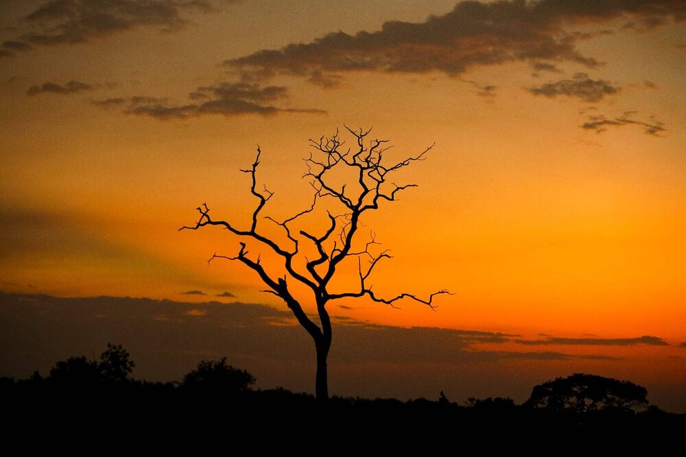 Tanzania mandatory travel insurance